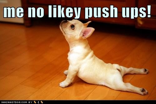 Dog+Push+Up